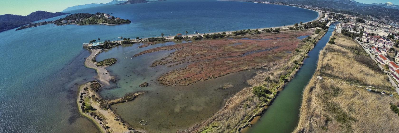 Calis Beach Bird Sanctuary
